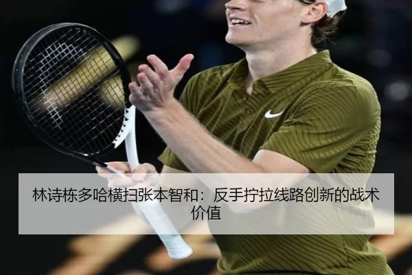 lin-shi-dong-duo-ha-heng-sao-zhang-ben-zhi-he-fan-shou-ning-la-xian-lu-chuang-xin-de-zhan-shu-jia-zhi-2-707.jpg